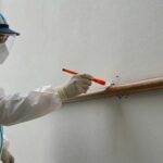 Professional applying ant gel bait treatment near a wall.